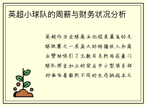 英超小球队的周薪与财务状况分析